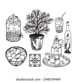 Drawn Mediterranean elements, pottery with lemons, lemon tree, bottle of lemonade. vector drawing, sketch 