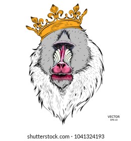 Drawn monkey. Mandrill in a crown. Vector illustration of Ape