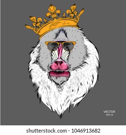 Drawn monkey. Mandrill in a crown. Vector illustration of Ape
