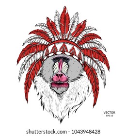 Drawn monkey. Mandrill in a Native American Indian chief. Red and black roach. Indian feather headdress of eagle. Vector illustration of Ape