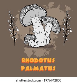 Drawn mushrooms.  Graphic design with typography, hand-drawn strokes and dots.  Linear art style. Horizontal poster, greeting card, header for website .