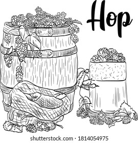 Drawn oak barrel with beer mug and hops