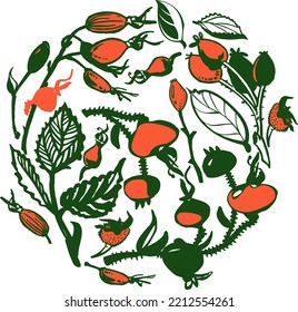 Drawn offshoots, vector fruit and rosehip leaves in orange-green colors arranged in a circle. Wild rose autumn gifts for poster, advertising, design and more.