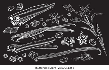 Drawn on chalkboard set of spices. Vanilla flower, dried vanilla sticks, cinnamon, allspice, coffee beans, cardamom, anise, cloves isolated on black background. Linear illustration. Sketch style.