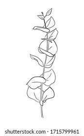 Drawn outline leaf isolated on a white background. Abstract minimal plants. - vector illustration.