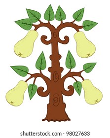 drawn pears with leaves on the tree vector