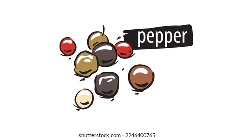 Drawn pepper isolated on a white background
