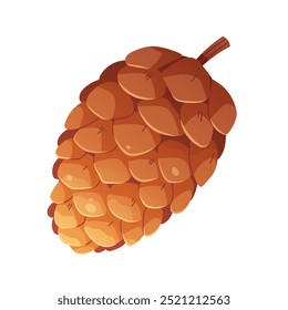 Drawn pine cone on white background. Forest cone, New Year decoration. Vector isolated element