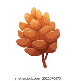 Drawn pine cone on white background. Vector isolated element