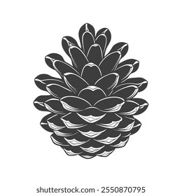 Drawn pine cone on white background. Fir cone. Symbol, design element