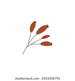 Planta dibujada sobre fondo blanco