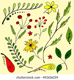 Drawn plants of different shapes.