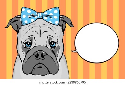 Drawn portrait of a pug dog face. Pet cute. There is a blue bow on the head. Bubble to talk. Pop art cartoon vector illustration. Hand drawn style