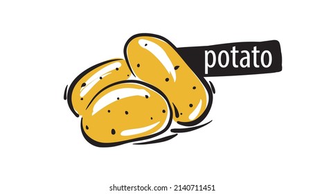 Drawn potato isolated on a white background