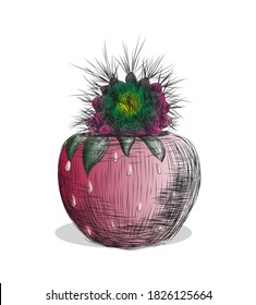 Drawn prickly green cactus in red in the form of a strawberry potted planter
