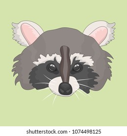 Drawn raccoon card
