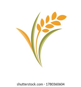 vector de arroz dibujado sobre fondo blanco