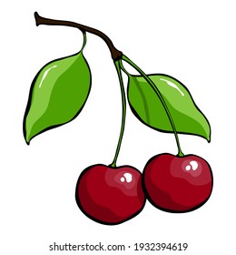 Drawn ripe cherry with leaf on a white background. Vector illustration.