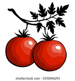 Reife Tomaten mit Blatt gezeichnet. Pflanzenvektorgrafik.