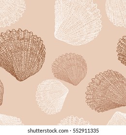the drawn sea shells