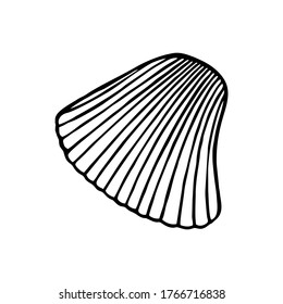 DRAWN SEASHELL ON A WHITE BACKGROUND IN VECTOR