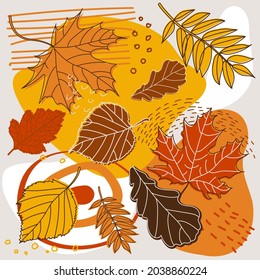 Drawn set of colorful autumn leaves