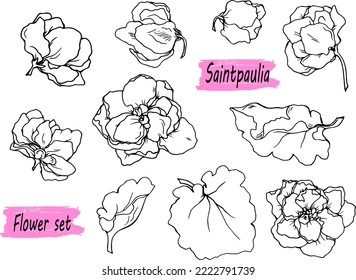 Drawn set of flowers. Silhouette. Indoor plant. Saintpaulia. Violet. Tattoo. Flower silhouette. Set of elements for decoration. Botany. Spring.