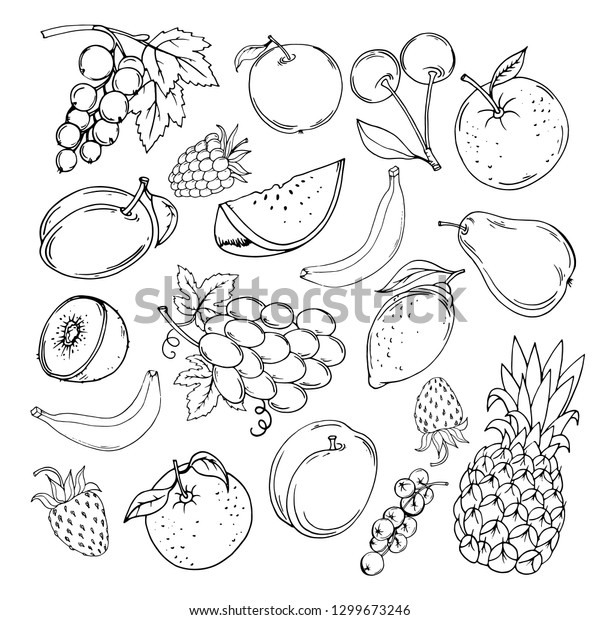 Drawn Set Fruit On White Background Stock Vector (royalty Free 