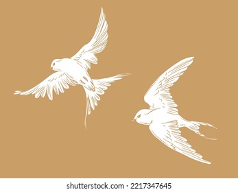 Drawn silhouette of a swallow. Bird silhouette. Tattoo. Elements for decor. Feathers. Bird. Flight.