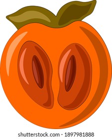 Dibujar medio persimón de fruta en color