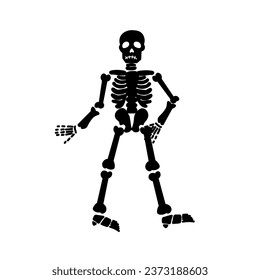 Drawn skeleton on white background