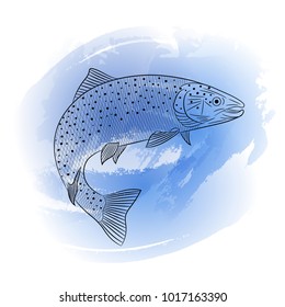 Drawn sketch of sea salmon fish on a blue background. Sketch, lines, splash, watercolor, paint, vector illustration.