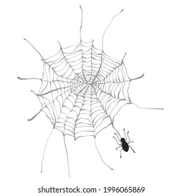 Drawn spider web with a spider holiday halloween. Doodle vector illustration use for festive decor decoration for postcards, poster, banner. Isolated on white background. 
