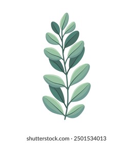 Gezeichnete Frühlingsblumen-Illustration auf weiß.