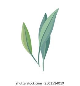 Drawn spring flower illustration on white.