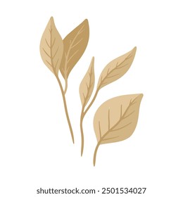 Ilustración de flor de primavera dibujada en blanco.