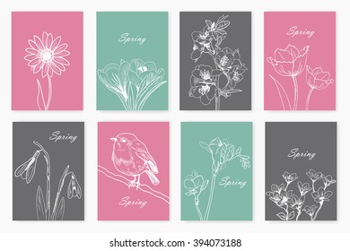 drawn spring flowers. set of cards
