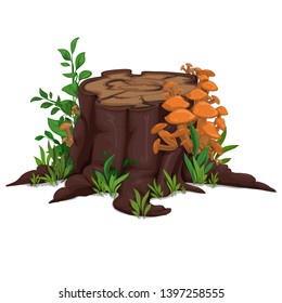 Drawn stump with mushrooms and grass, vector. Isolated illustration. Honey, stump, grass.