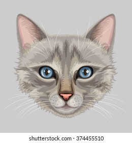 Drawn stylized muzzle of gray cat with blue eyes and pink nose