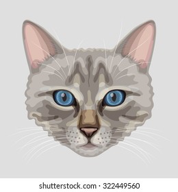 Drawn stylized muzzle of Thai cat