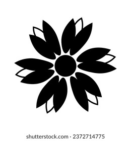 Drachenblume auf weißem Hintergrund