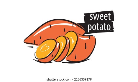 Drawn sweet potato isolated on a white background