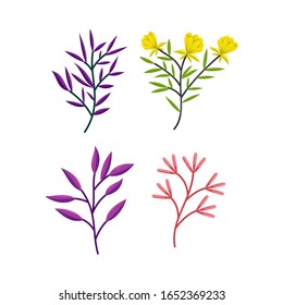 Ramas de árbol dibujadas Hojas ornamentales Juego de Ilustración de vectores