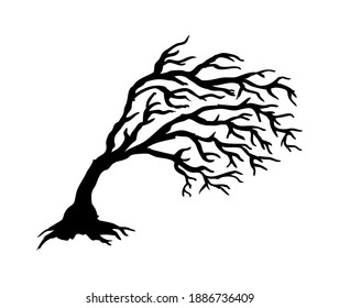 A drawn tree that