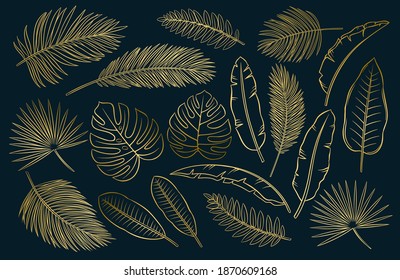 Drawn tropical golden leaves. Outline exotic monstera, banana leaf, palm and fern. Summertime paradise design for wrapping paper, textile. Vector sketch illustration.