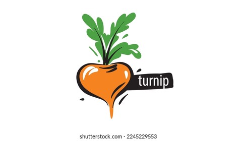 Drawn turnip isolated on a white background