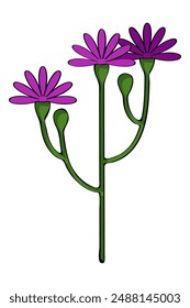 Drawn twig with purple flowers. Vector illustration on isolated white background.