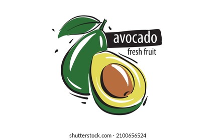 Drawn vector avocado on a white background