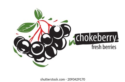 Drawn Vektorchokeberry auf weißem Hintergrund