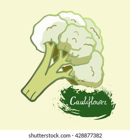 drawn in vector frash cauliflower with signature